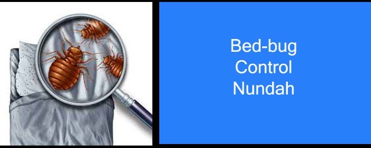 Bed Bug Control Nundah